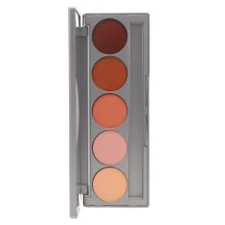 Simple Colorescience Pro Beauty On The Go Palette 0.42 Oz -Laladaisy Trendy 1378060.04